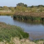 The Ingrebourne Valley Marshes